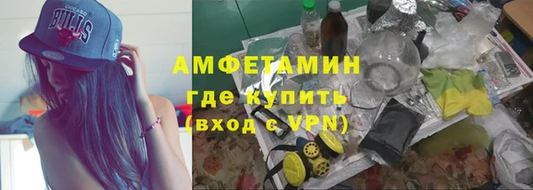 сатива Аркадак