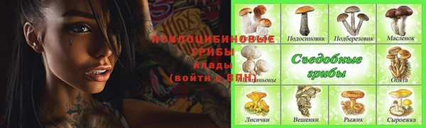 не бодяженный Арсеньев