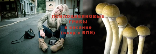 не бодяженный Арсеньев