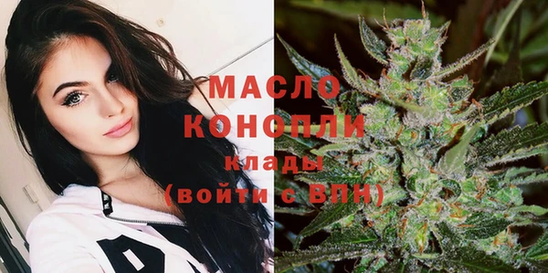 сатива Аркадак