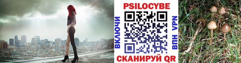 Псилоцибиновые грибы GOLDEN TEACHER  Сланцы 